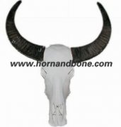 Buffalo Skull With Horns-SWH01