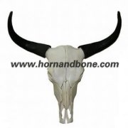 Yak Skull With Horns-SWH02