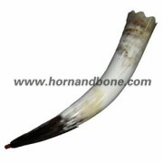 Cow horn Clarion-HSC09